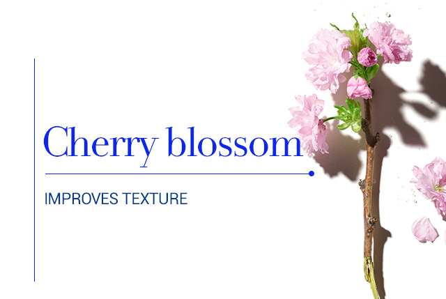 Cherry blossom