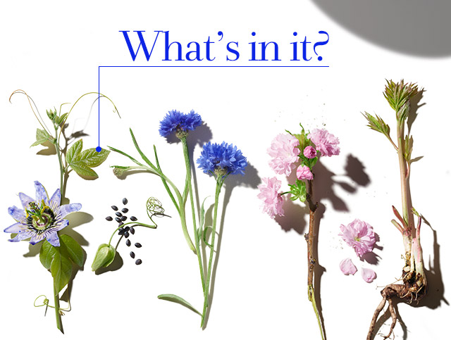 What’s in it?