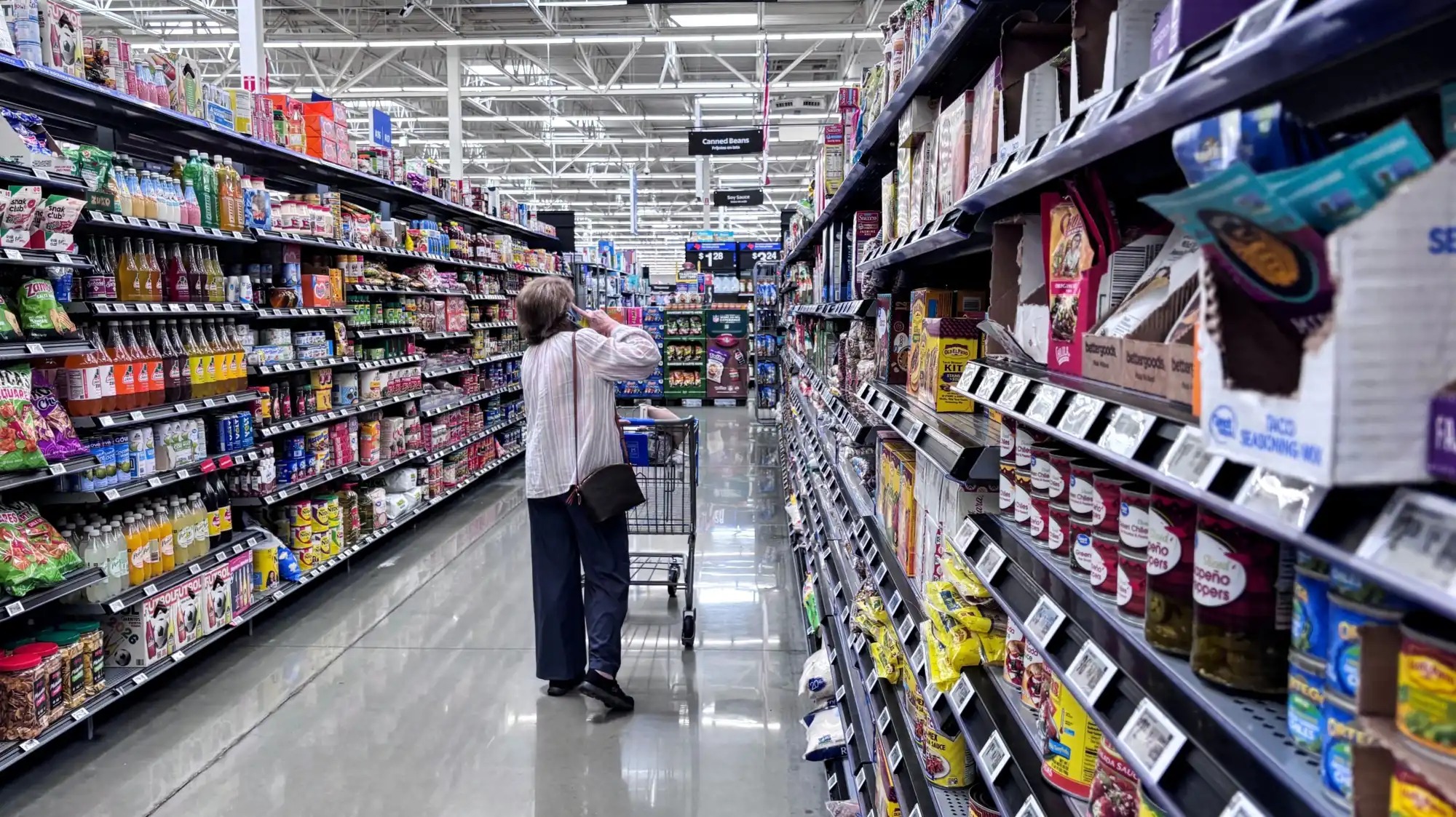 A woman grocery shopping.