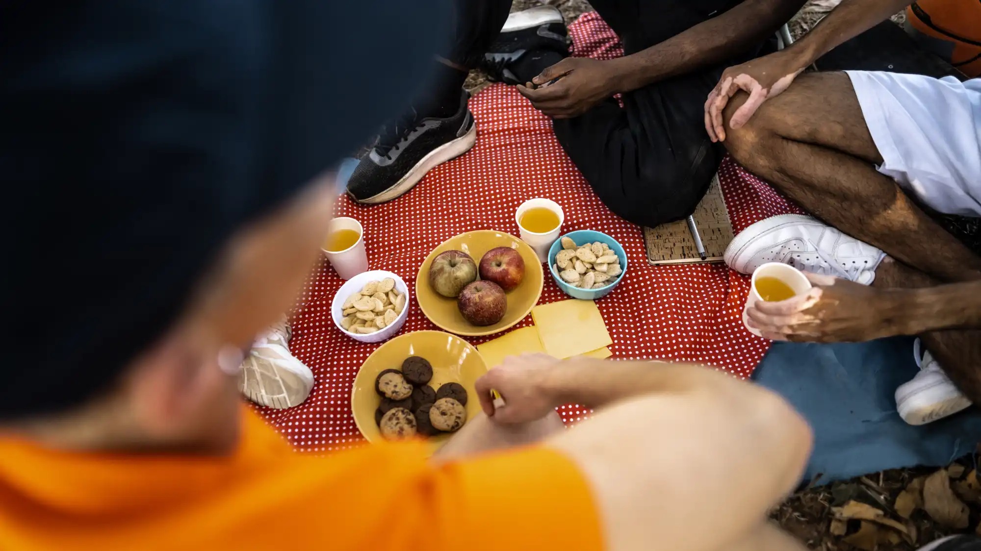 A stock photo of people at a picnic.