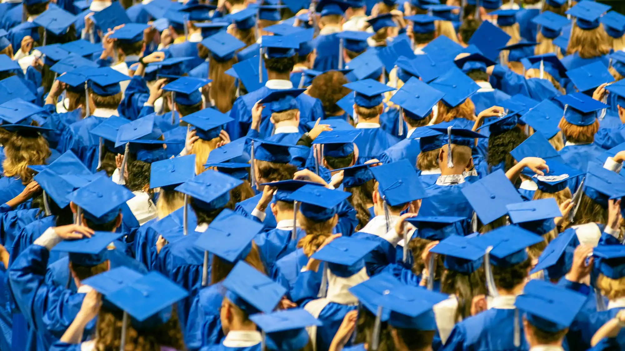 A crowd of graduates in blue caps and gowns, seen from behind.