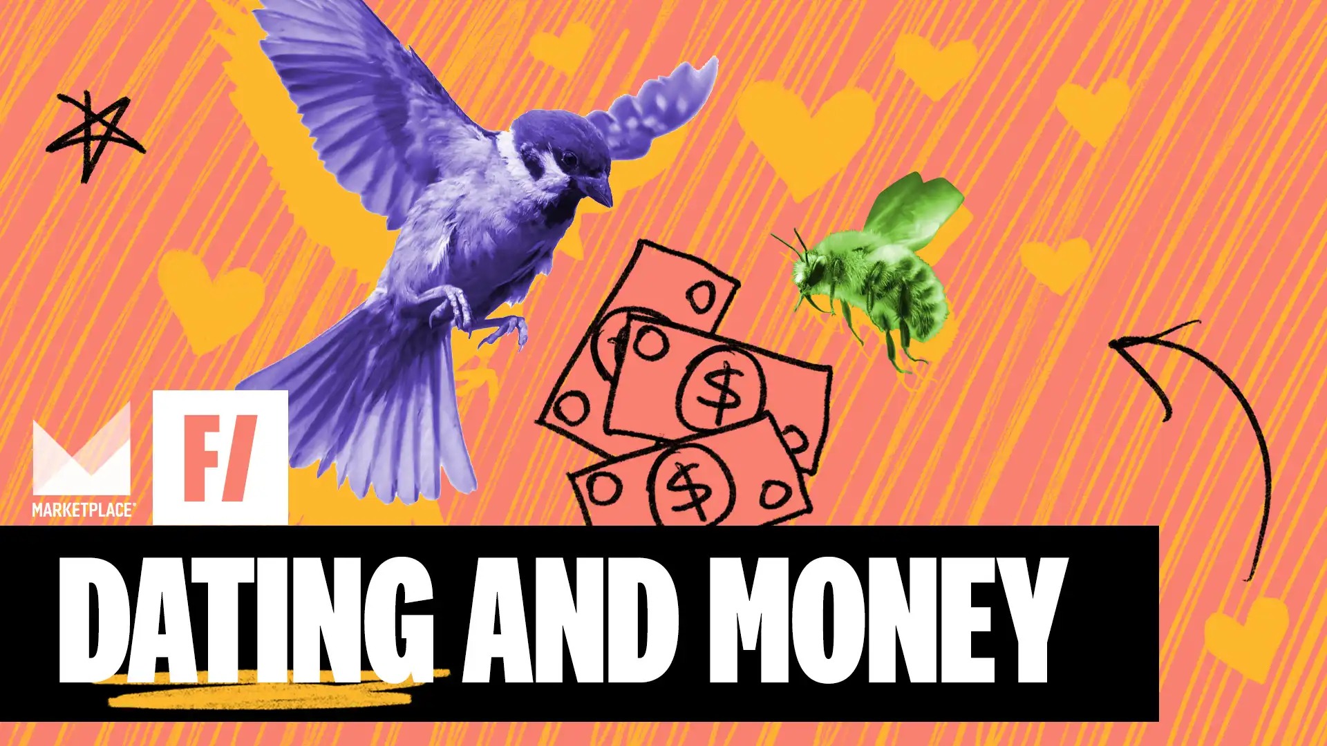 A collage style photo illustration shows a bird, a bee and some money with the title 