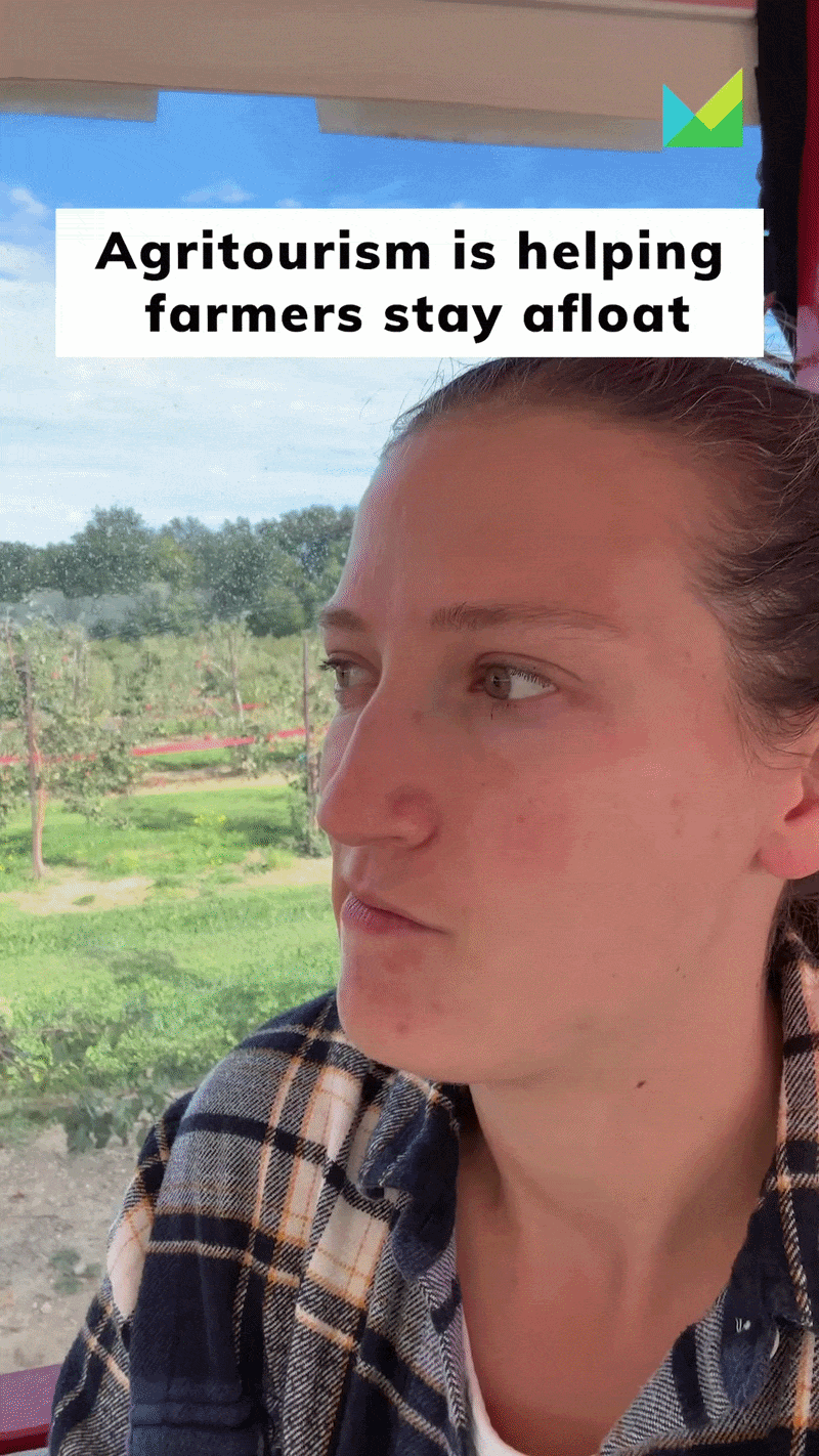 reporter Caleigh Wells talks 