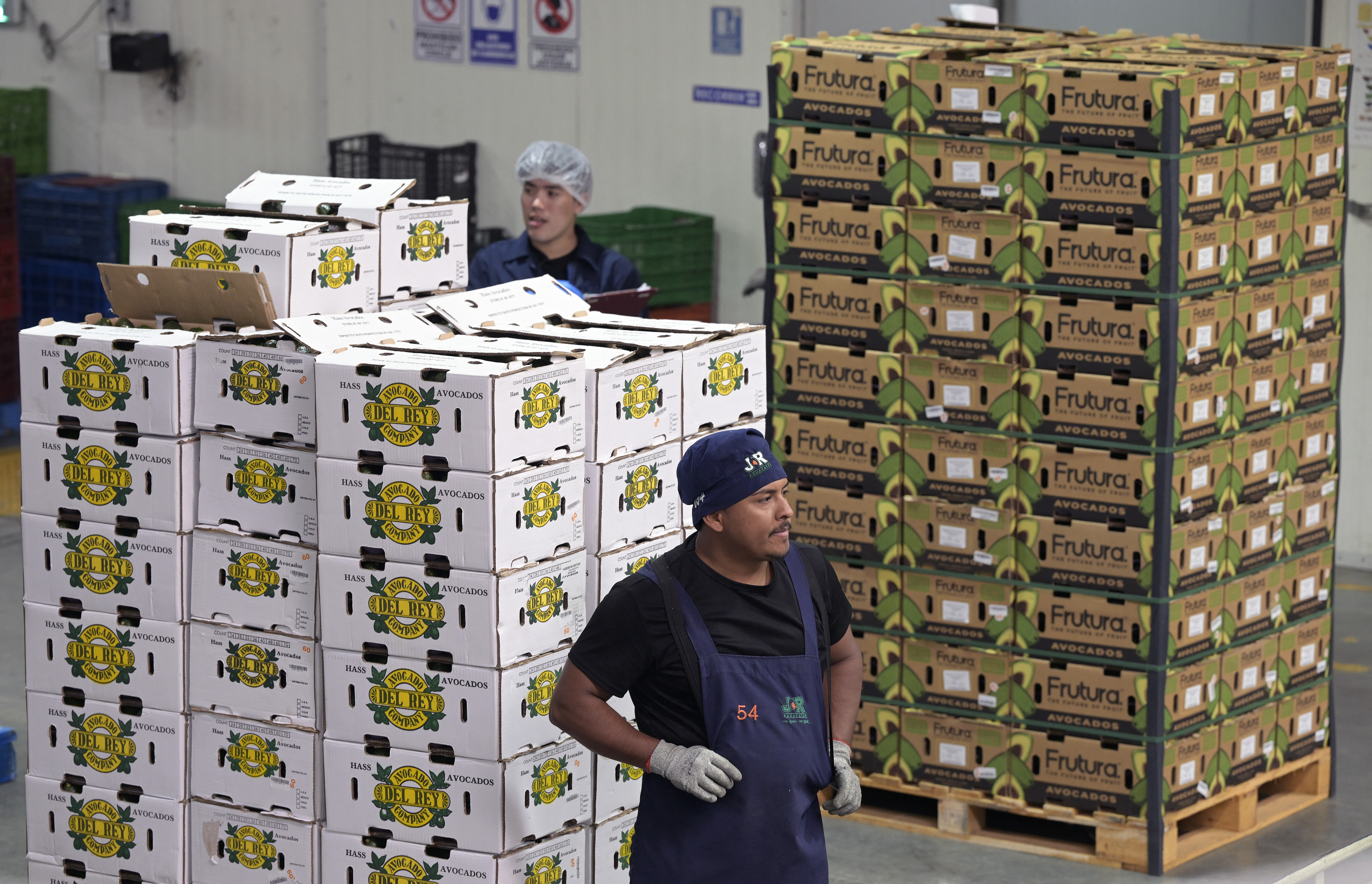 Pallets of avocados at a producer