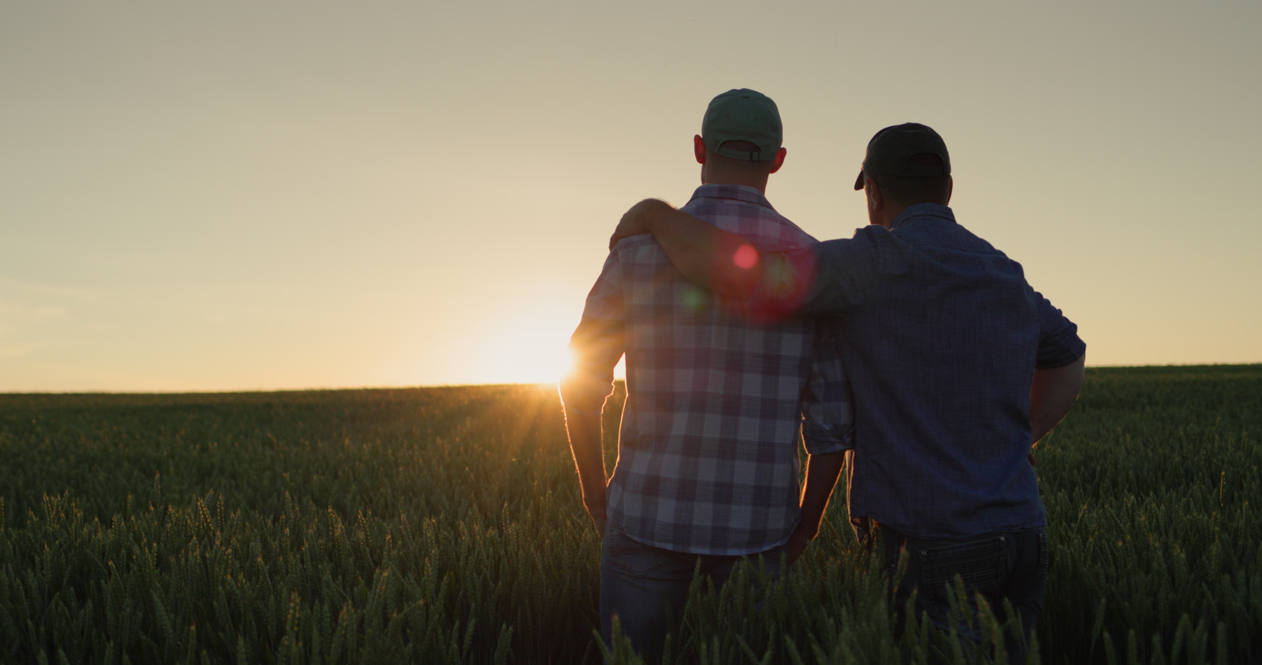 Two men look at a sunset over a field