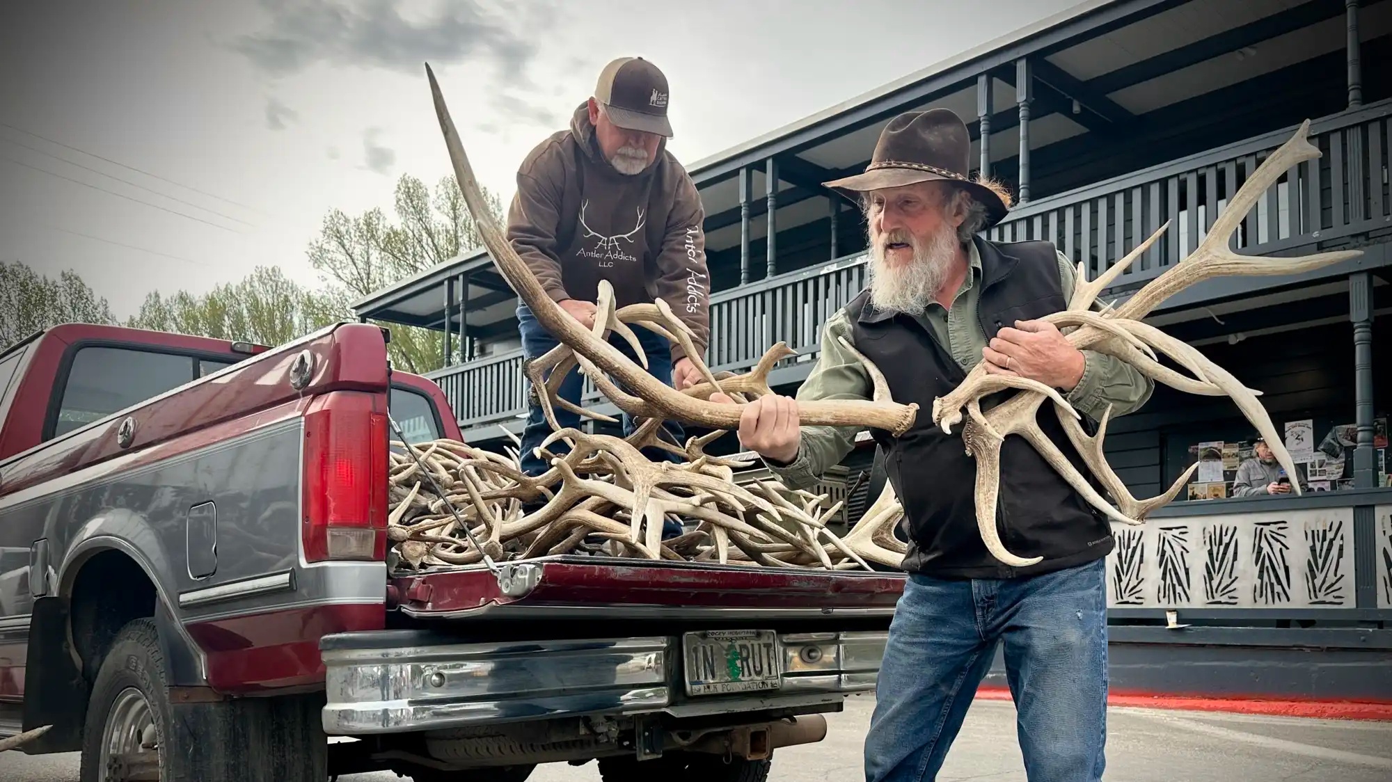 Two men unload elk antlers from the back of a pickup truck.