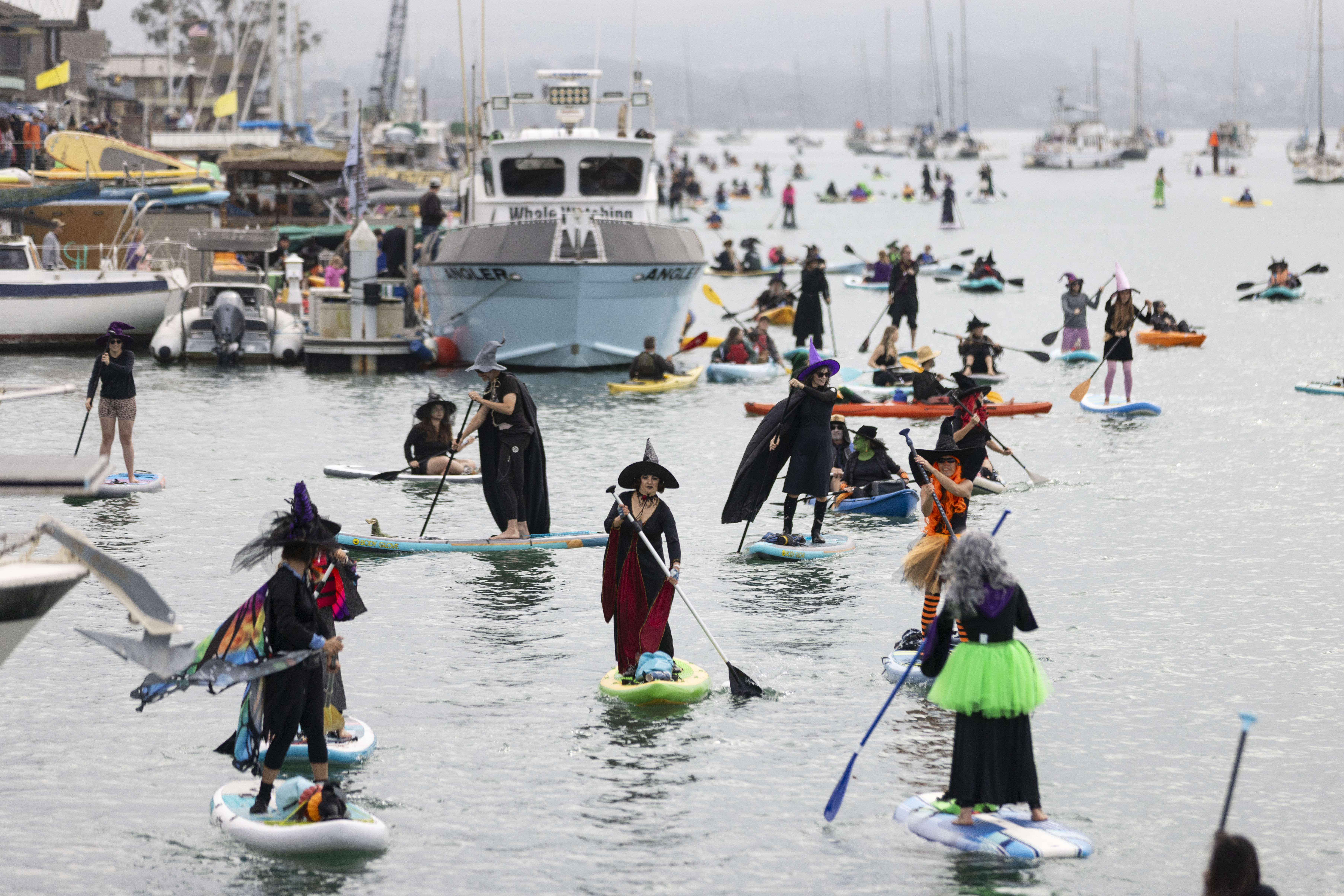 Women dressed as witches ride stand-up paddle boards.