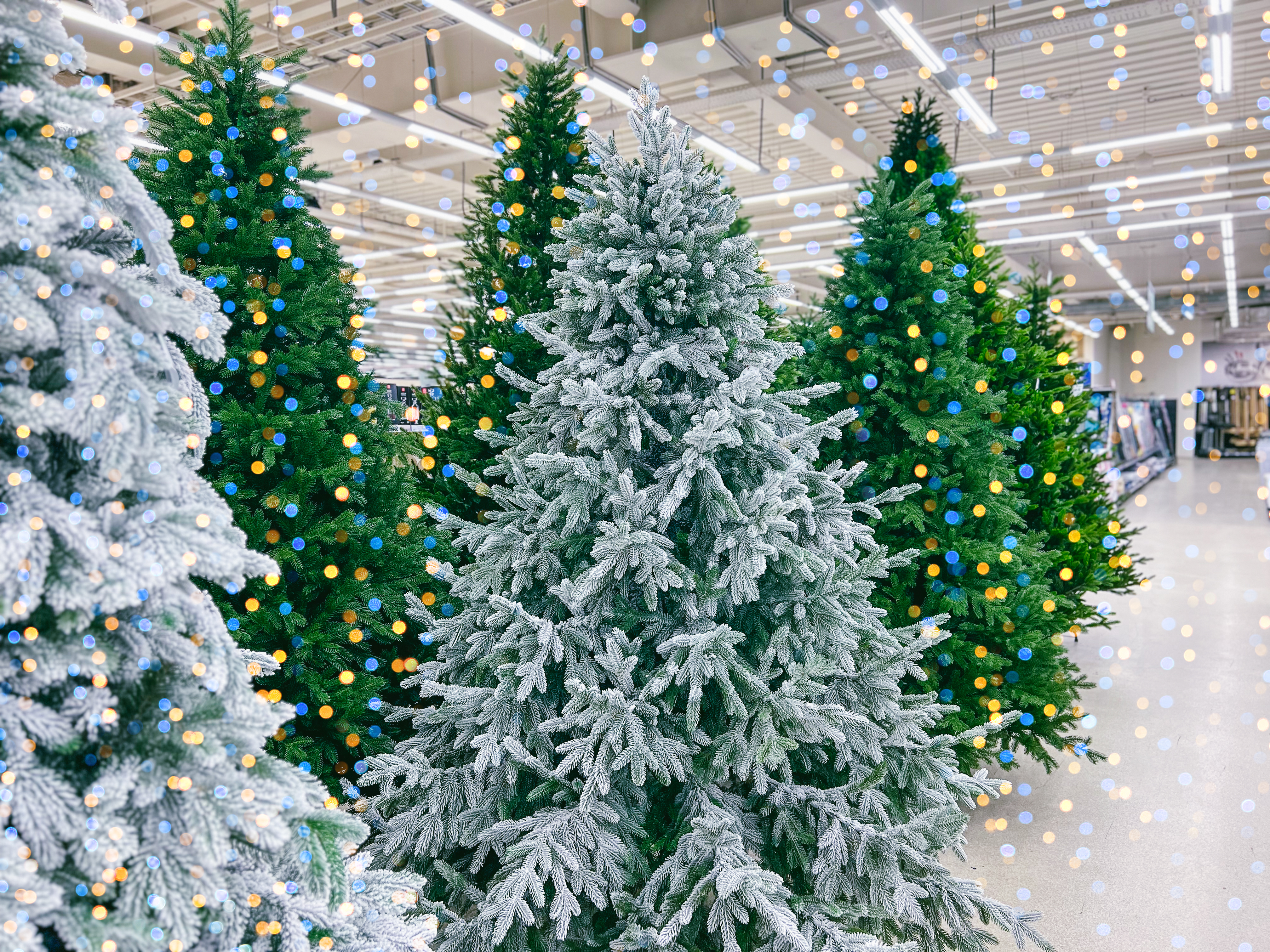 Plastic christmas trees for sale in a store
