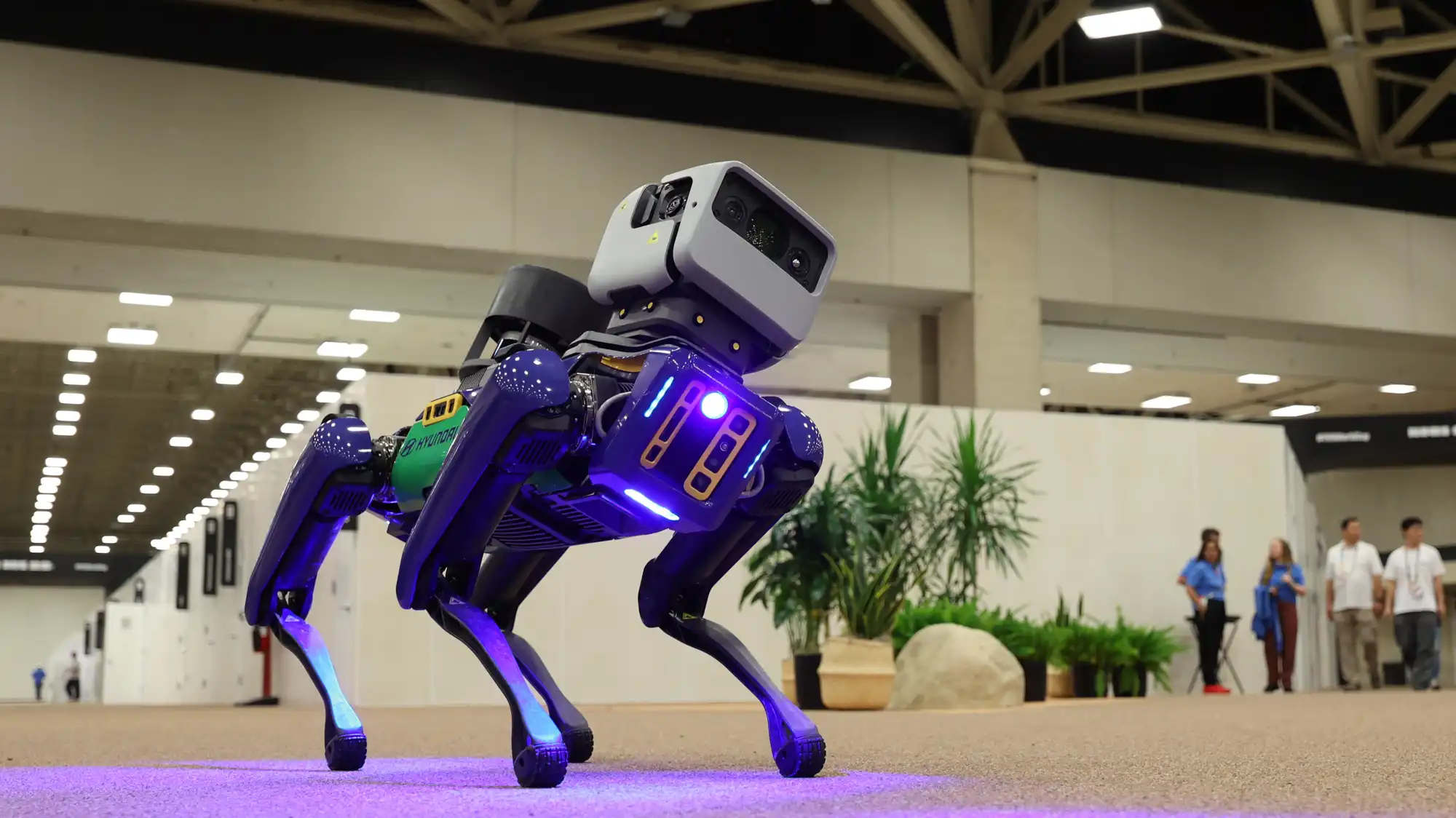 A Boston Dynamics robot dog