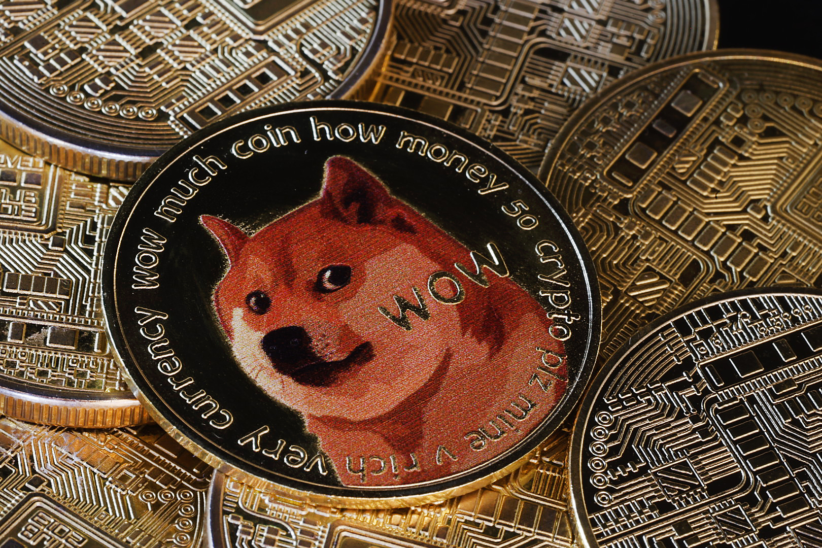 A visual representation of dogecoin, featuring a portrait of a Japanese shiba inu dog named Kabosu, who inspired the meme behind the digital cryptocurrency. 